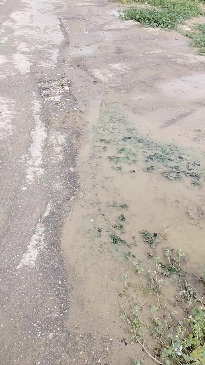 الاستفسار على هذا الرقم ***********
