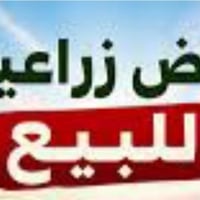 سند زراعي • ٣٠٠م • بيت قيد البناء