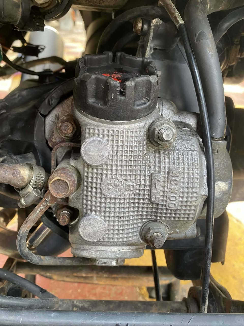 الهم صلي علئ محمد والي محمد
سلام عليكم فراشه البيع مكفوله من كلشي محرك ما مفتوح ولا تبخير نكره سلف اشاير كله شغاله مكاني الديوانية قضاء المهناويه وشراي بيه خير ودلل هاذه الرقم ***********
