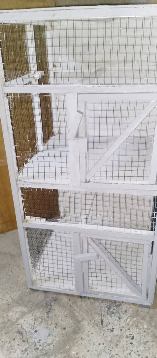 قفص خانتين جديد مامستخدم السعر 25وبيها مجال


**إذا كنت صاحب هذا الإعلان وتريد حذفه لأي سبب، رجاءا أرسل رسالة إلى الدعم الفني**