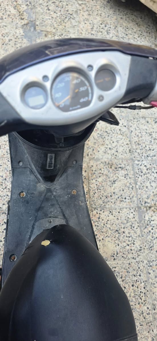 سلام عليكم عصفوريه البيع بغداد مدينه الصدر  ***********
