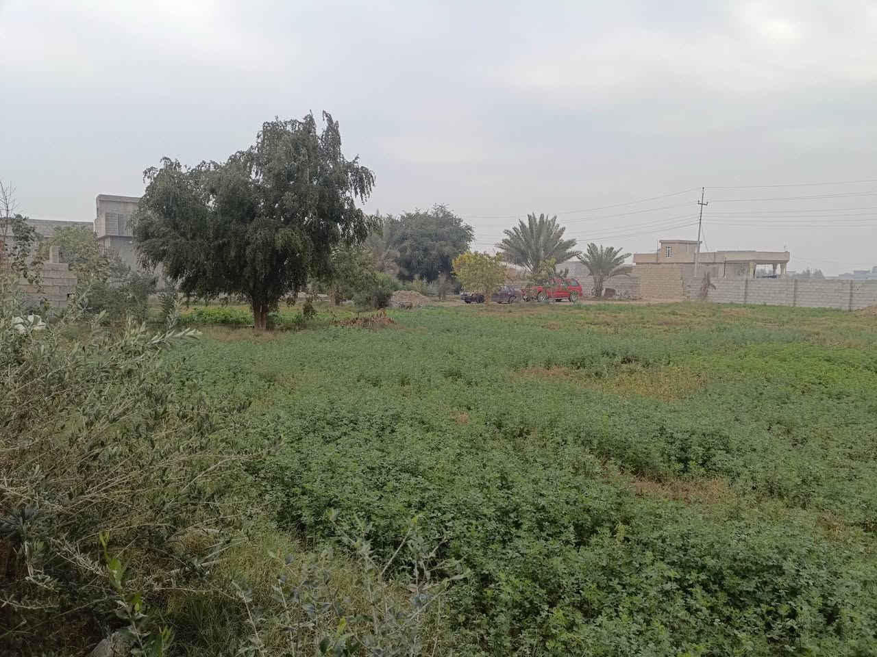 اسلام عليكم  متاح درا للبيع مساحة 2500متر واصلة كامل الخدمات 
حقلين بقر بيها +مخزن+   بير مي قطاس كامل مكمل +مي حلو واصصل  كامل 
مكان الدار قريت الربيضة
رقم الهاتف ‏‪***********‬‏
