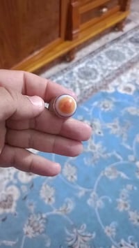 بابل • توصيل • اكسسوارات