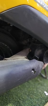 اخت الرمبه • كفاله عامه • بلشر