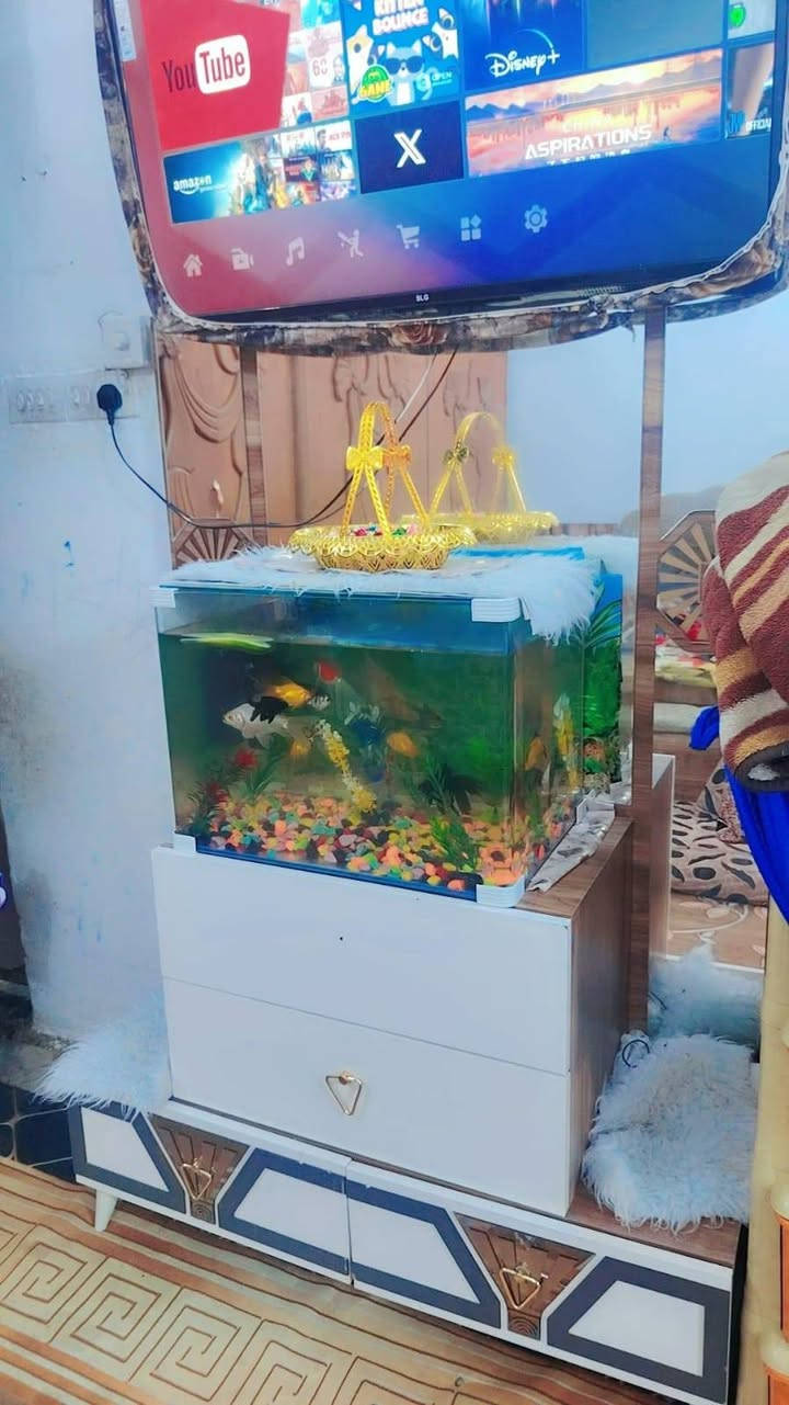 جربايه + دوشك طبي + ميز تواليت ب250 كلهن مكانهن حي مكرمه


**إذا كنت صاحب هذا الإعلان وتريد حذفه لأي سبب، رجاءا أرسل رسالة إلى الدعم الفني**