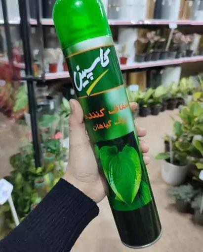 بخاخ معطر ورد صناعي  وطبيعي ٥٠٠ مل  سعر الدرزن ٦٠ الف 
الكارتون تعبئه ٢٤ قطعه سعر الكارتون ١١٥ الف
يوجد توصيل لجميع انحاء العراق 
بغداد ٥ الف محافظات ٦ الف


**إذا كنت صاحب هذا الإعلان وتريد حذفه لأي سبب، رجاءا أرسل رسالة إلى الدعم الفني**