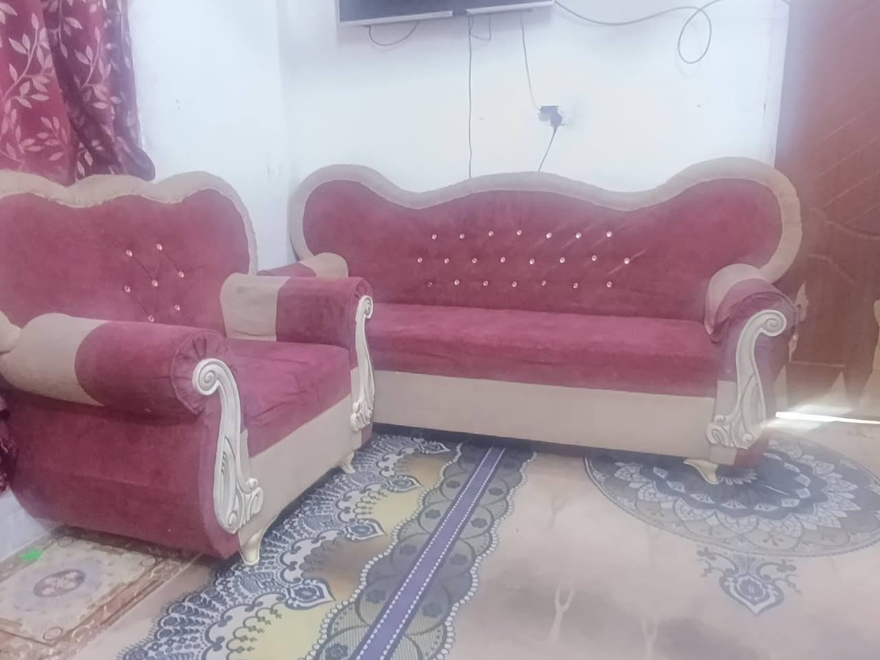 تخم للبيع نضيف قوي استفسار اتصل على الرقم ***********
