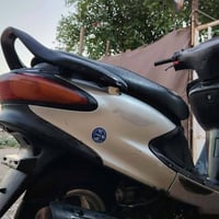 دولفين • شغاله • بلاديه