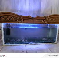 حوض سمك • حجم كبير • ما استعمل ابد