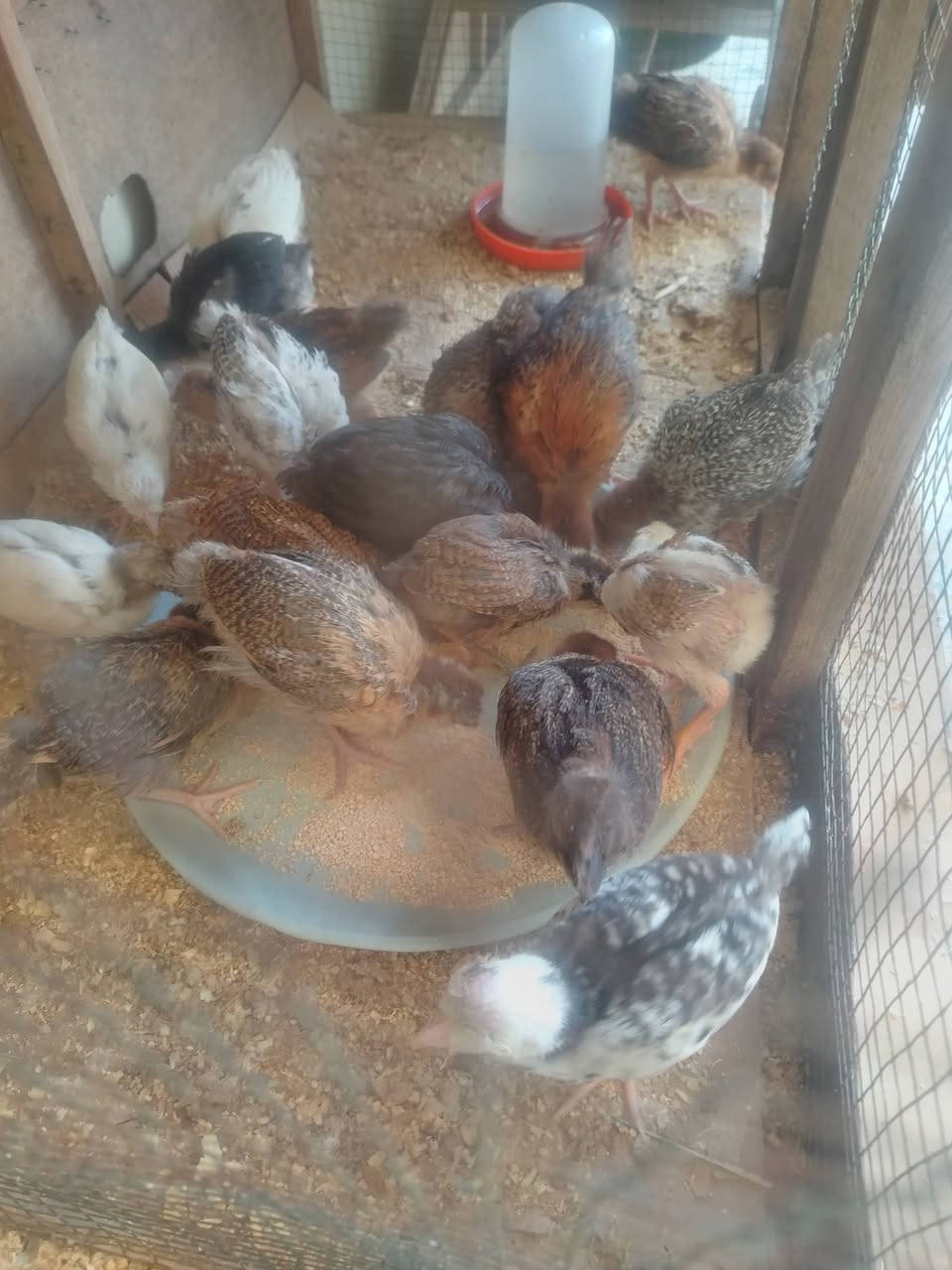 متاح افراخ عرب عمرهن شهر الزوج ب 6 العنوان سامراء


**إذا كنت صاحب هذا الإعلان وتريد حذفه لأي سبب، رجاءا أرسل رسالة إلى الدعم الفني**