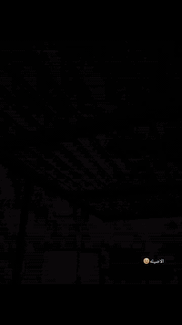 ماكس عدله • بوشه ٤٩ • البصره تنومه