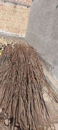 شيش ابونص • طول 4-7م • الطارمية حي الضباط