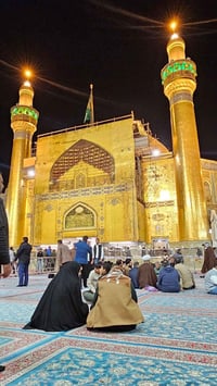 تعلن حملة ام محمدخادم الحسين ع يوم الخميس  وره الضهر  الئ النجف الاشرف...