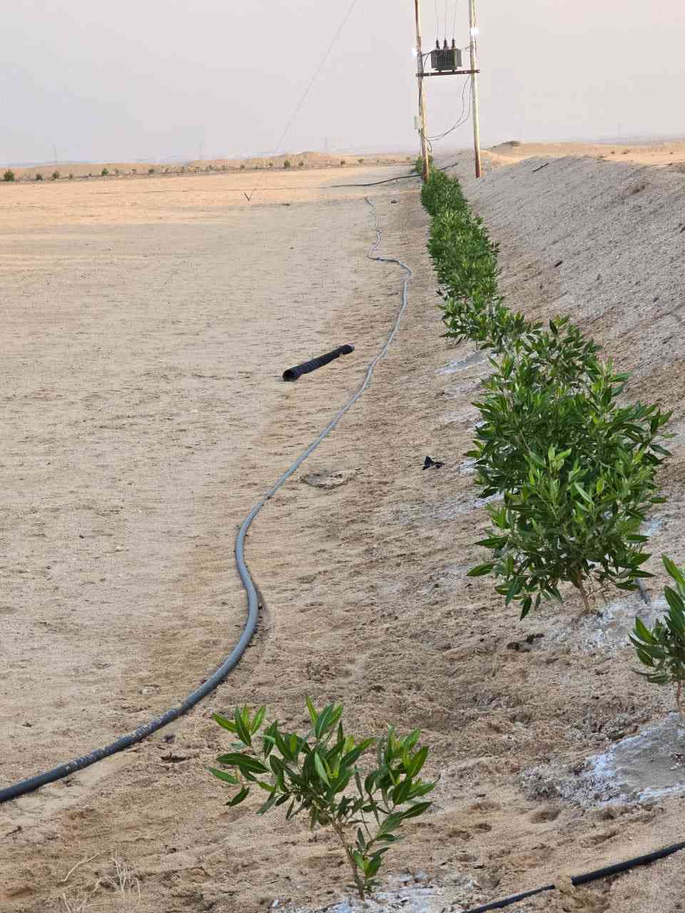 دوانم للبيع
السلام عليكم 6 دوانم للبيع كل دونم 50م50Xم على الشارع العام توجد كهرباء وطنيه ومحوله على طريق النجمي على الرفيع سعر الدونم 7 ونص مكانهن على التبليط عقد زراعي قيد الانجاز

تفاصيل اكثر اتصل ***********
