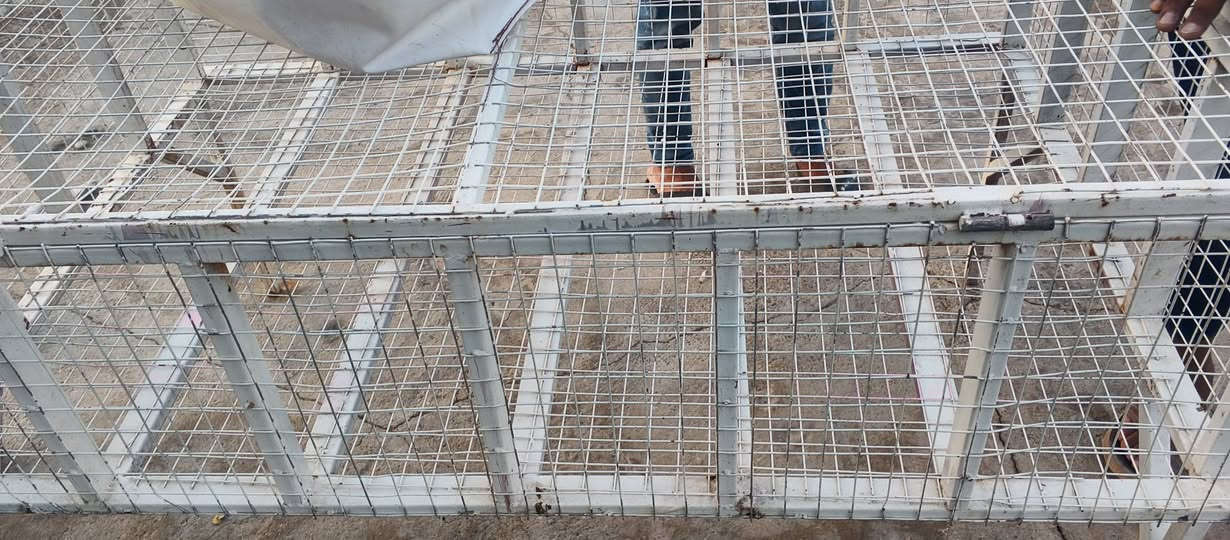 حوض مال سمج للبيع تفصال كامل سد وفتح  جادر وغطاس الحوض كاملل غيم الي يرضي الله.  العنوان كوت العزه الجديده. ***********
