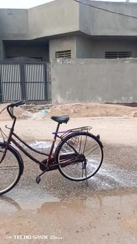 باسكال • جديد • النجف الاشرف