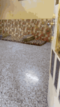 بيت للبيع بسبب الوعود الكاذبة
بيت سند 25مفوض بالطابو في حي وأحد آذار الناحيه مساحته 350 قريب على جامع الحسن 
يتكون من طابقين الاول يتكون من صحيات خارجيه وحمام داخلي ومطبخ حار وبارد واستقبال الضيوف وصاله وغرفتين وترك البيت كامل سيراميك الطابق الاول أما الطابق الثاني يتكون من ثلاث غرف وصاله وحمام الطابق الثاني فقط سيراميك نقص السعر175مليون وبي مجال للتفاوض للاستفسار الاتصال على الرقم او واتساب ***********
