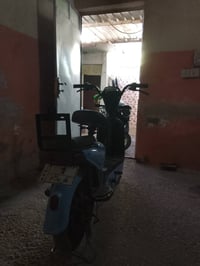 دراجة شحن • حجم ١٤ • كفت