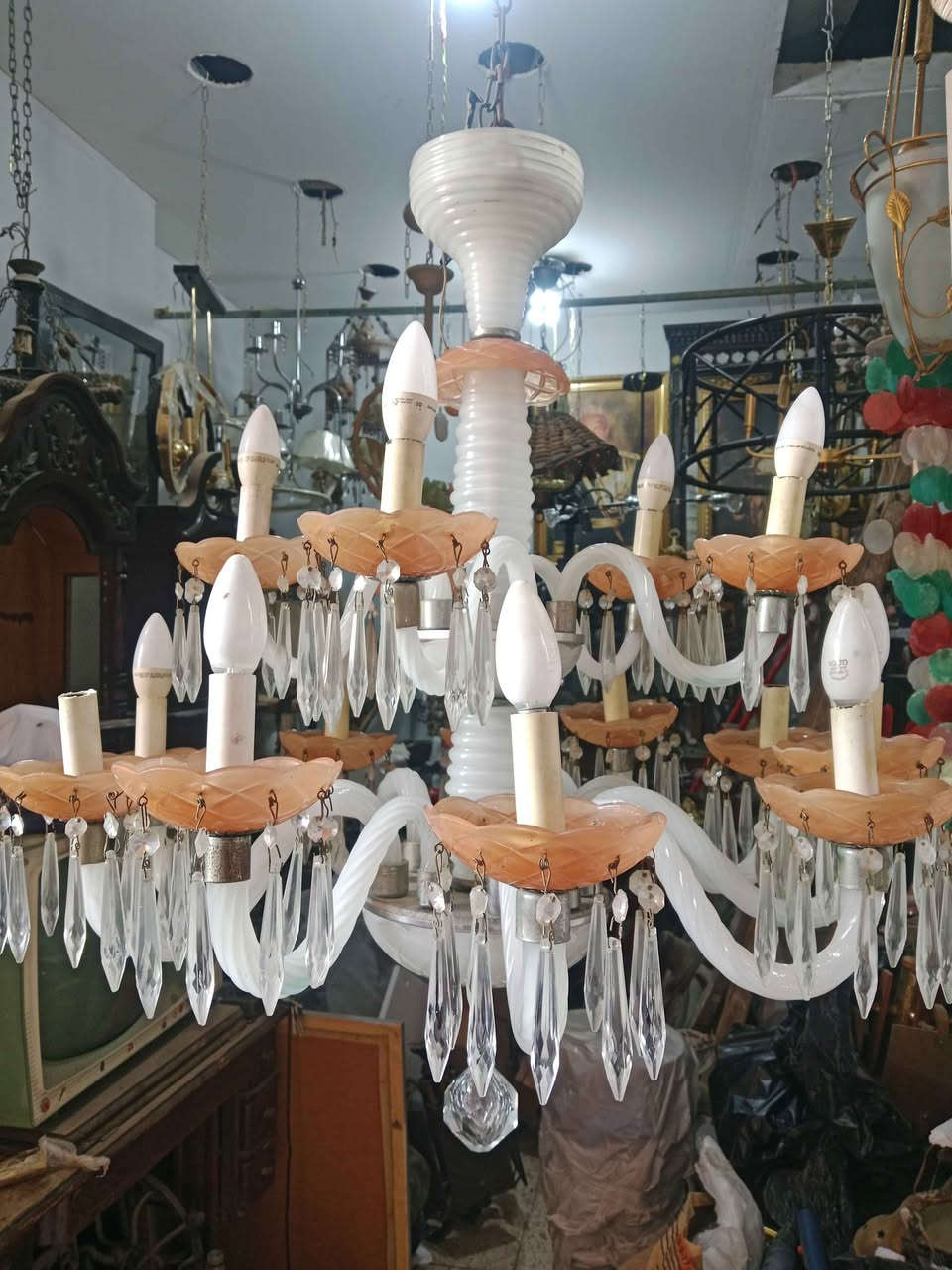 ‎نجف مرانو 16 لمبه لون مميز‎ شبرا الخيمة قسم 1, القليوبية


**إذا كنت صاحب هذا الإعلان وتريد حذفه لأي سبب، رجاءا أرسل رسالة إلى الدعم الفني**