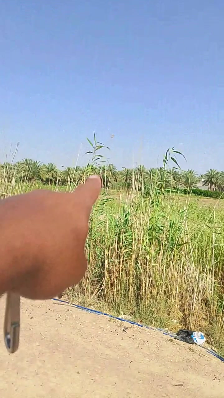 سلام عليكم بيت 100متر قرار 35 عنوان مدينه الزارين سيد الوصياء عن مدينه 1كيلوو هاتف ***********
