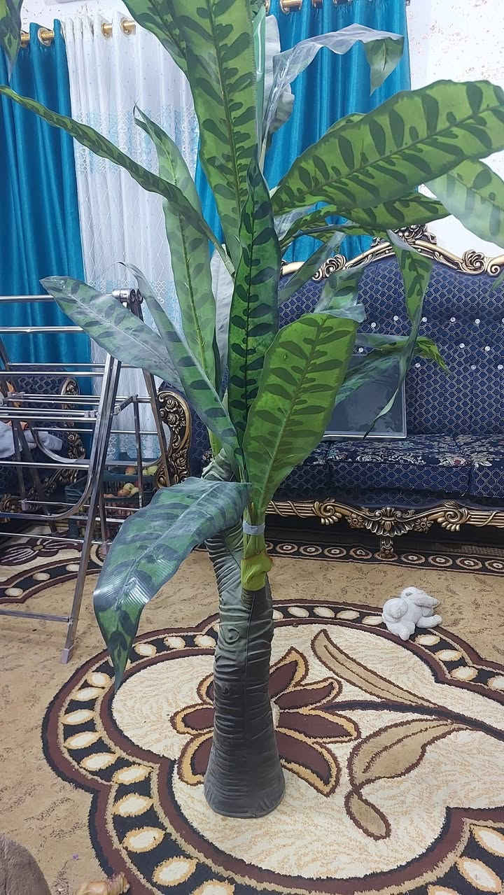 السلام عليكم غراض للبيع مكاني السماوه


**إذا كنت صاحب هذا الإعلان وتريد حذفه لأي سبب، رجاءا أرسل رسالة إلى الدعم الفني**