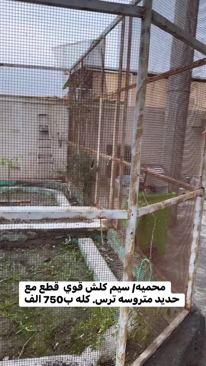 متاح البصرة المدينه


**إذا كنت صاحب هذا الإعلان وتريد حذفه لأي سبب، رجاءا أرسل رسالة إلى الدعم الفني**