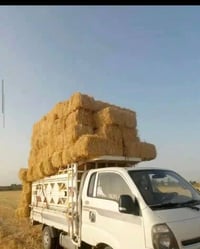 كبس كفر • درجة أولى • توصيل للبيت