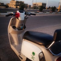 ماكس بوليسي • سلف • زنون