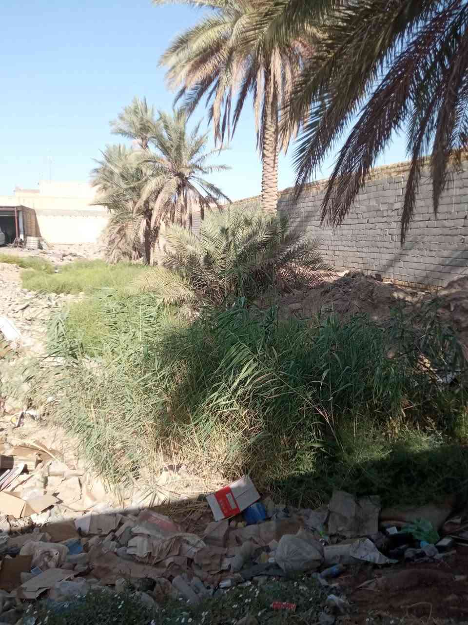 سلام عليكم قطعه نص دونم طابو صرف للبيع مباشر على الشارع العام  مقابل مستشفى القاسم  تحتوي على كراج واربع محلات  مجاوره إلى مجمع المطراوي  للاستفسار اتصل***********
