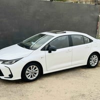 كورلا هايبرد • ٢٠٢٤ • رقم بابل