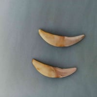 نيبان ذيب للبيع 07815420669