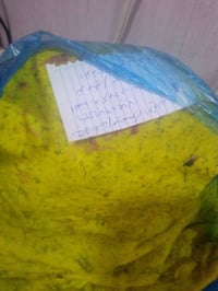 طلبات اليوم • جزء