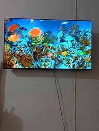 بصره • شاشة ٥٠ • فور كي