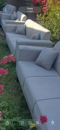 تخم للبيع اخو الجديد  للاستفسار الاتصال على الرقم  07823156010