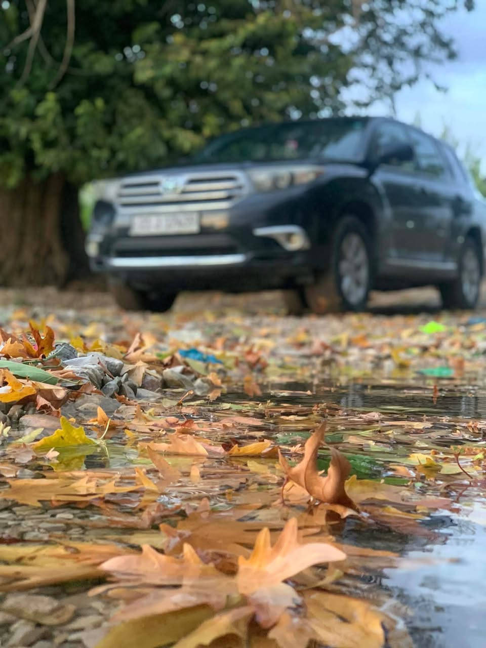 تويوتا هايلاندر موديل 2013 سيارة ايد واحد من 2013 لحد الأن السيارة le اسود داخل رصاصي 
صندوق مبدل بلادي بدون دواخل بدون ارباك
سعرة 173 ورقة و بي مجال *********** كالار, السليمانية
