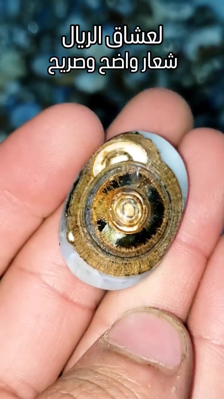 شعار ريال مدير واضح وصريح


**إذا كنت صاحب هذا الإعلان وتريد حذفه لأي سبب، رجاءا أرسل رسالة إلى الدعم الفني**