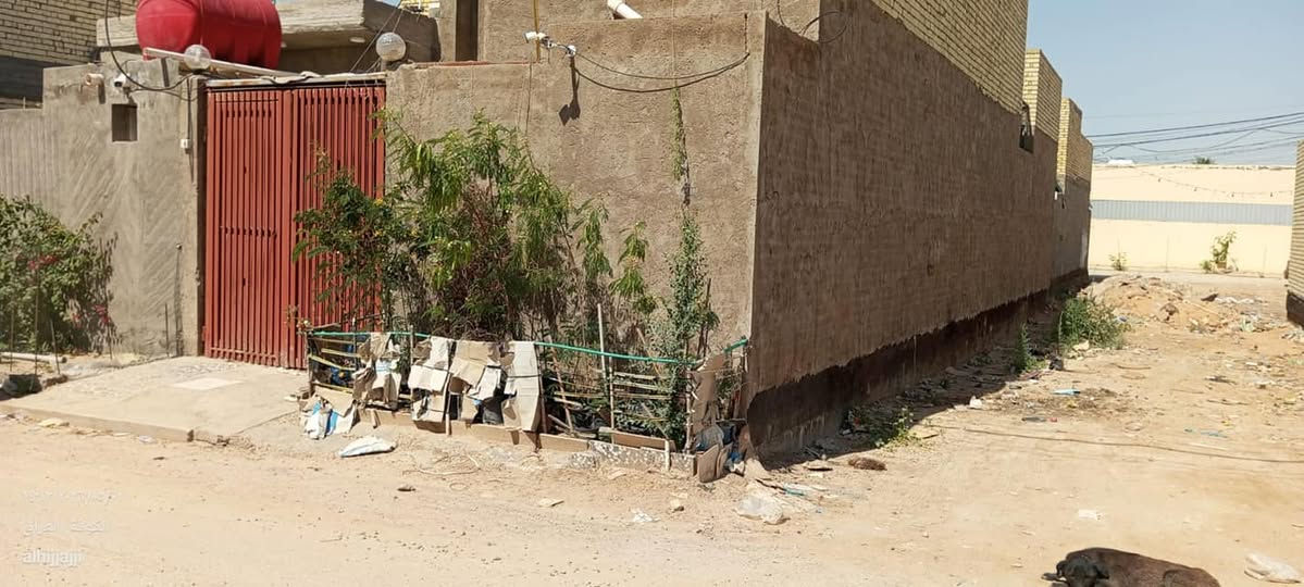 بيت زراعي للبيع 120 متر وجاهز للسكن و قريب عالشط وقريب شارع جسر الامام علي بحدود ٧٠ متر فقط  يقع في 
الكوفة السهيلية قرب جسر الامام علي ع بناء جناي يحتوي استقبال و صالة مفتوحة  عالمطبخ البارد و مطبخ حار و غرفة نوم و صحيات داخلية و خارجية وجهية البيت ٦ متر الاساس كونكريت وكله طابوق جمهوري و السقف عكادة و البيت كامل مكمل كاشي سيراميك بياض خزان سخان ماطور ماي خط مولدة و المنطقة كلها مبلطة و انارة ليلية للمعرفة السعر التواصل على الرقَم ***********.. اهلا و سهلا في كل وقت النجف, العراق
