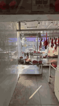 شوفولي العروض اليوم كيلو كباب دجاج ١٠الف كيلو كباب لحم ١٦الف كيلو غنم عراقي ١٦الف دينار كيلو عجل بعضم١٢الف دينار كيلو شرح ١٢الف دينار تكه دجاج متبله كيلو ١٠الف دينار  يوجد لدينا خدمه توصيل داخل الزعفرانيه***********
