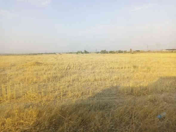 دۆنــم بـــۆفرۆشــتن 100دۆنــم  دۆنم 5گـڵا معملـــــــــــە🙋
لـە گــوندی ســـەنگـــەر شـوورو پـەلـە بکەو فەریای کـــەوە
لـەدەســتی خــۆتـی دەرمــــــاکـــــە کــریـارانی ئــــــــــازیز
ســاڵی ســـێ بـــوو دوومــێلـــۆن دێـنار کـرێ دەکــــــــــــات
🟢 زەوی  زراعی دیـــم  📢 بۆ فرۆشتن 🌾🌻🌳
 🏃🏃 بــــــــلاش  بـــــــلاش  فــەریای کــــــــەوە🏃🏃

🔺ڕوبەر -100 دۆنم ، زەراعی  بــێ کــیشــەی کـریـاران

✅ گونجاو بۆ گــــــەنــم  سـاڵان کـرێ بـاش دەکـــــــــات
🙋کـریـارانی ئـازیز ئـەم 100دۆنم هـەی عیلای کەی فقیـر

— مــە رج نیە زەوی زۆر لابێت مەرج ئەویە بیفرۆشیت 

بۆ زانینی نرخ کۆمێنت بکە لە » ”  پەیج  “
خێرا وەڵامت پێ دەگات ، یان بۆ زانیاری زیاتر 

پەیوەندی بکە بە ،

☎️ *********** 👋👋👋

📟 فایبەر ، وەتس ئاپ 
***********👋👋👋
—————————

‏‎تئبینی .. ئــەم زەویـە زەراعــــیە هێچ کیشەنــیایـە🙋🙋

ئەم زەوی کارە با نزیکتی 
هـــیچ کـــێــشــە ی یاســــایوو کـــۆمــە لایـــتی نیــــە 

———

‏‎‌‌ئێوەی بەڕێزیش گەر موڵکتان هەیە و دەتانەوێ بیفرۆشن یان بەکرێی بدەن ئەوا دەتوانن تەواوی زانیاریەکان بنێرن ، لە عەقاراتی” ( هێمــن )“ بۆتانی بڵاو دەکەینەوە ،

‏‎- ناونیشانی تەواوی موڵکەکەت 📍
‏‎- چەن وێنەیەکی موڵکەکەت 🏡
‏‎- نرخی موڵکەکەت 💵

‏‎بە نامە بینێرن بۆ پەیج 📩
