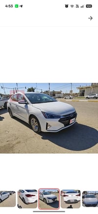 النترا امريكي • ٢٠١٩ • الدجيل