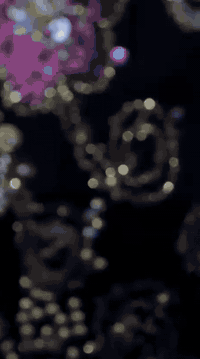 خياطة • تفصيل حسب الطلب