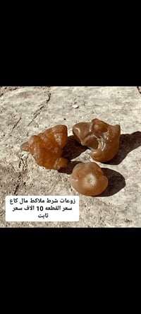 توصيل • جميع المحافظات