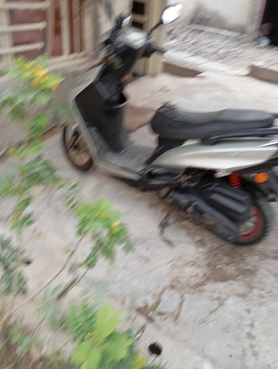 دراجه سكنس شمعه دراجه نظيفه اي نقص مابيه تشغيل عن بعد كهربائياته كله تشتغل تهم تاير جديد السعر ٤٥٠ وبيه مجال *********** مكاني الشعب
