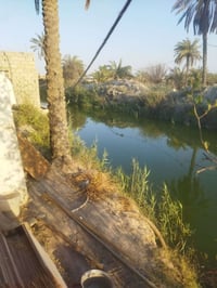ابي الخصيب • ٢٠٠م • ضفة نهر