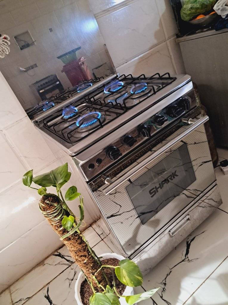 سلام عليكم مرخصت الادمن أغراض للبيع مكان لبياع شرطه الخامسه اي استفسار خاص غراض كلهن نظيفات شري خاص


**إذا كنت صاحب هذا الإعلان وتريد حذفه لأي سبب، رجاءا أرسل رسالة إلى الدعم الفني**