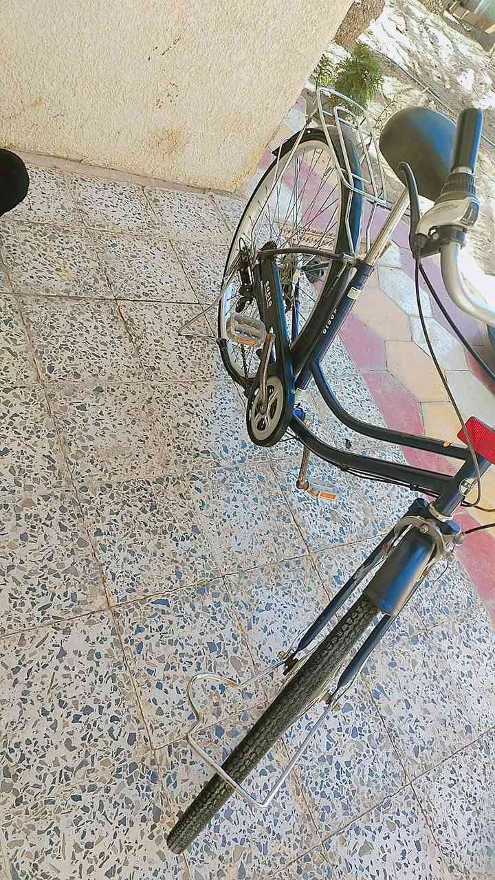 باسكل للمراوس


**إذا كنت صاحب هذا الإعلان وتريد حذفه لأي سبب، رجاءا أرسل رسالة إلى الدعم الفني**