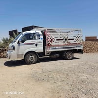 كيه • ٢٠٢٠ • مكفولة