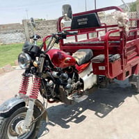 ستوته • بعيره • 2023 • للبيع • ستوته نظيفة • ثلاث عجلات