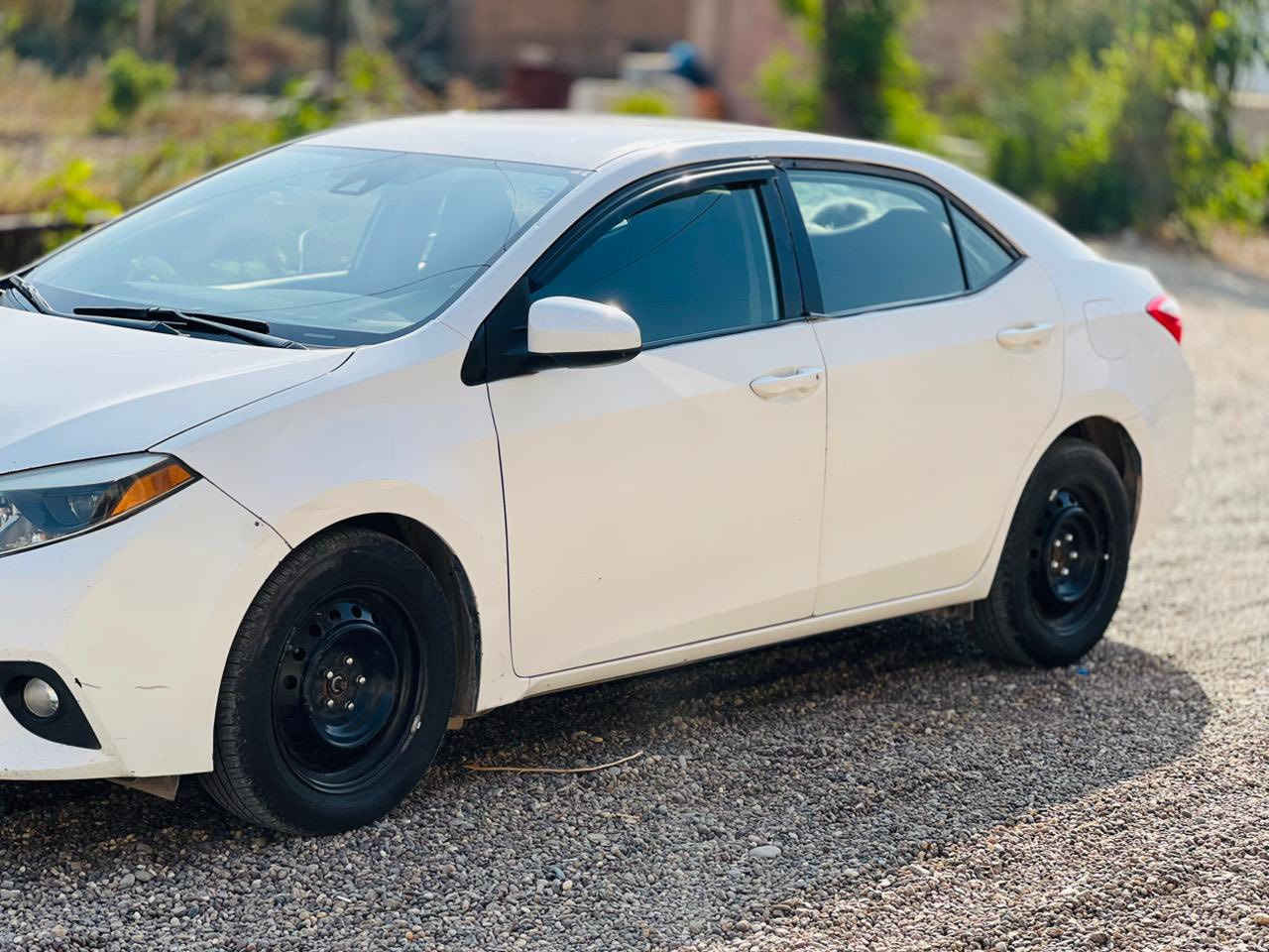 السلام عليكم 
للبيع كورلا 2016 مواصفات LEفول عدا البصمه  سياره حيل حلوه رقم سليمانيه دولي بسمي     السنويه ل28 صدر تواير ويل كب عادي گير ومحرك كلها جاهزه ماناقصه شي بيها اربع قطع بونيد وجاملقات امامي وباب خلف السايق  السعر128وبيها مجال  الاتصال على الرقم 
*********** 
مكان السياره بيجي قرية المسحگ
