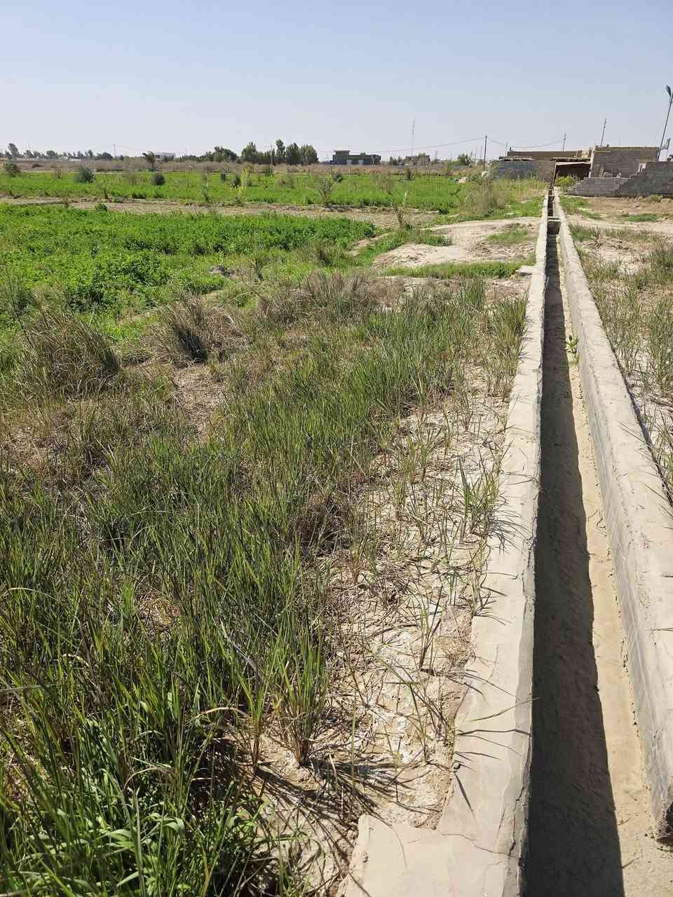 أرض زراعية سند 25 نقل ملكيه باسم المشتري
المساحه 2 دونم الواجه 45 النزال 112 المساحه 5000 متر
الموقع قضاء السدير الشارع السياحي قريب على معمل الغاز
عن شارع السياحي 150 متر 
تحتوي على اشجار زيتون  ونخيل وتين وتحتوي بئر ارتوازي
كما مثبت صور الارض بلمنشور 
بسعر مناسب جدآ للستفسار راسل الحساب 
او اتصل ***********
***********
